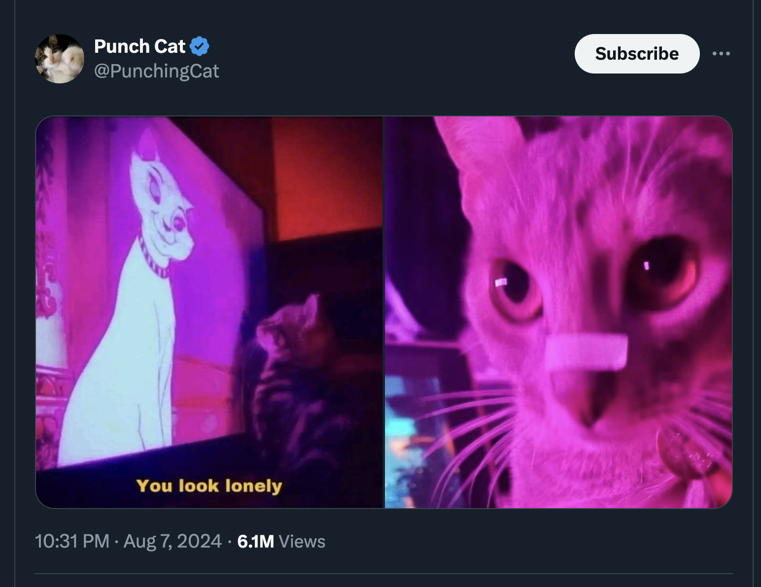 blade runner 2049 cat meme - Punch Cat You look lonely 6.1M Views Subscribe